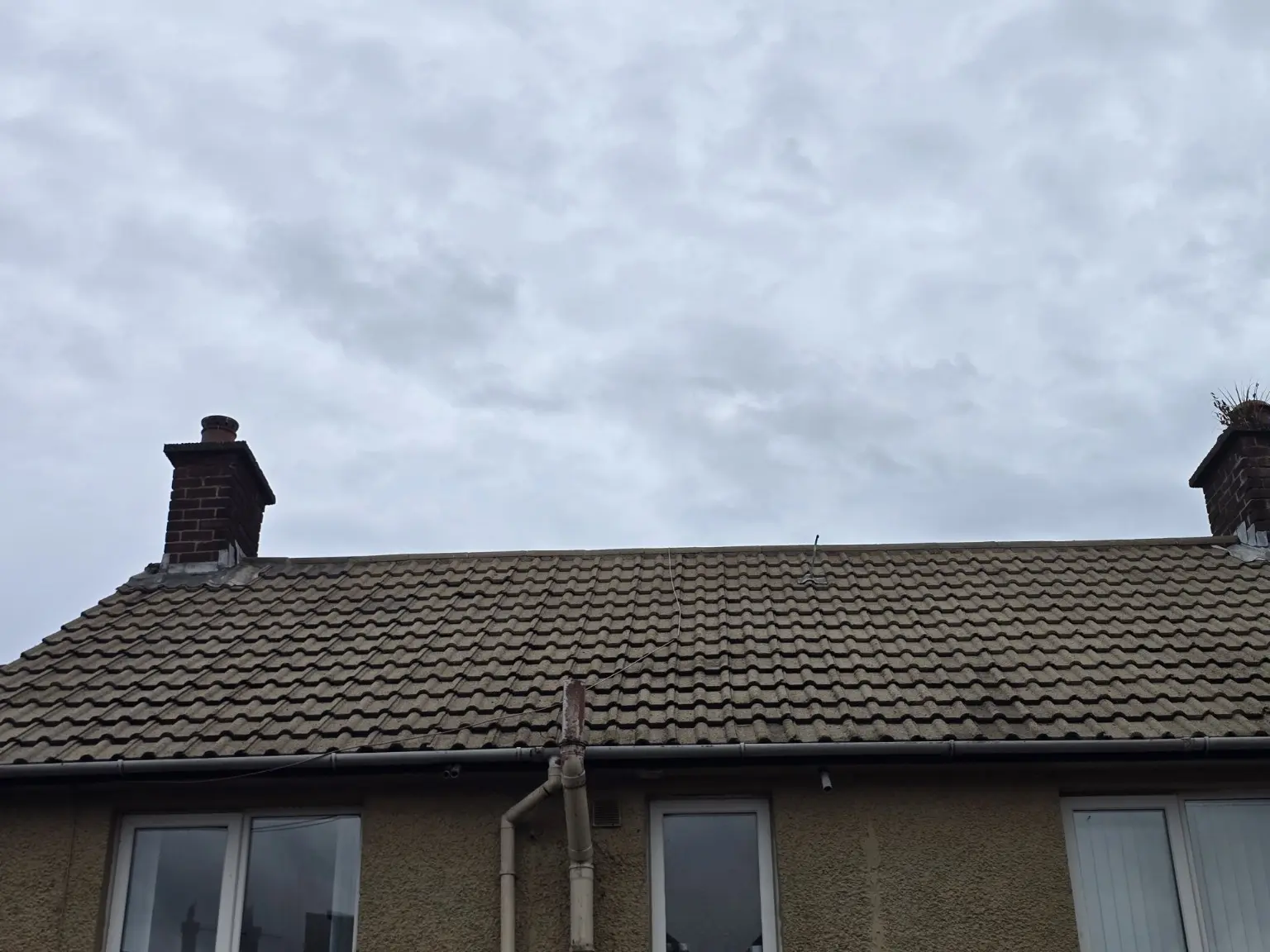 Roof after cleaning