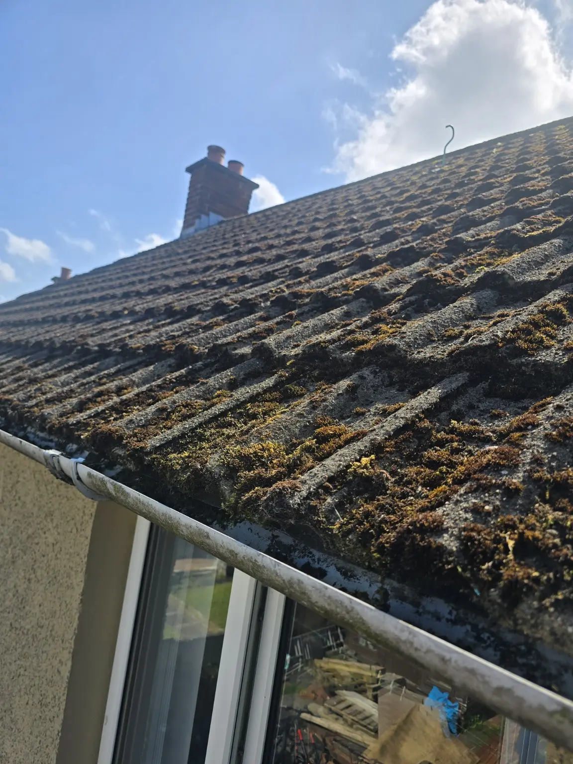 Roof before moss removal
