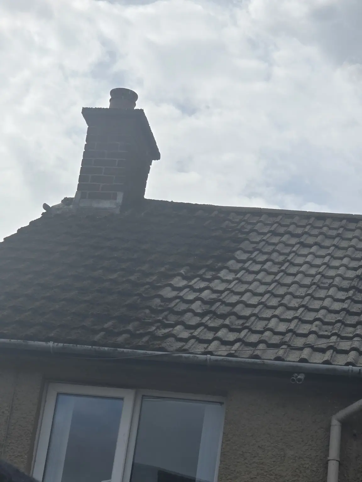 Roof during moss removal